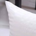 EvZ Homie Premium Stuffer Pillow Insert Sham Square Form Polyester, 20" L X 20" W, Standard White Striped, for 20" Covers