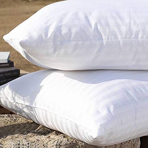 EvZ Homie Premium Stuffer Pillow Insert Sham Square Form Polyester