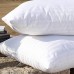 EvZ Homie Premium Stuffer Pillow Insert Sham Square Form Polyester, 20" L X 20" W, Standard White Striped, for 20" Covers