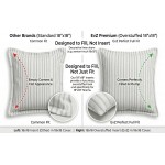 EvZ Set of 2 Overstuffed Pillow Inserts 18x18 - Premium Soft Square Decorative Sham Stuffers - Hypoallergenic Polyester Filling Cushion Forms for Couch, Sofa & Bed - White Striped (18" x 18") EvZ Set of 2 Overstuffed Pillow Inserts 18x18 - Premium Soft Square Decorative Sham Stuffers - Hypoallergenic Polyester Filling Cushion Forms for Couch, Sofa & Bed - White Striped (18" x 18")