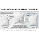 EvZ Premium 20x20 Pillow Insert (Single Pack) - Decorative Square Throw Pillow Form - Soft Polyester Stuffer with Elegant White Striped Shell - Ideal for 20x20 Covers