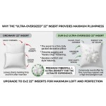 EvZ Premium 22x22 Pillow Insert (Single Pack) - Oversized Square Throw Pillow Form - Ultra-Dense Polyester Stuffer - Perfectly Fits 22x22 Covers with No Saggy Corners EvZ Premium 22x22 Pillow Insert (Single Pack) - Oversized Square Throw Pillow Form - Ultra-Dense Polyester Stuffer - Perfectly Fits 22x22 Covers with No Saggy Corners