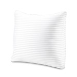 EvZ Premium 22x22 Pillow Insert (Single Pack) - Oversized Square Throw Pillow Form - Ultra-Dense Polyester Stuffer - Perfectly Fits 22x22 Covers with No Saggy Corners EvZ Premium 22x22 Pillow Insert (Single Pack) - Oversized Square Throw Pillow Form - Ultra-Dense Polyester Stuffer - Perfectly Fits 22x22 Covers with No Saggy Corners