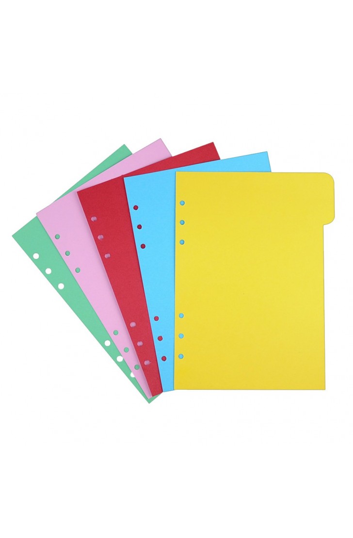 EvZ 5 Color Index Per Tab for 7 Inches Journal Organizer Diary A6 Notepad Notebook 6 Holes Ring Binder, 5 Random Colors Pcs EvZ 5 Color Index Per Tab for 7 Inches Journal Organizer Diary A6 Notepad Notebook 6 Holes Ring Binder, 5 Random Colors Pcs