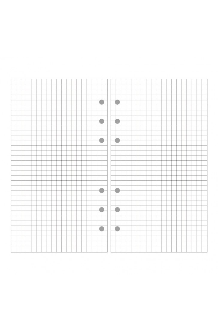 EvZ A6 Refill Grid Square Paper, 6 Holes Ring Binder Filler for 7 Inches Refillable Journal Notebook Diary Organizer Planner Inserts, 80 Sheets / 160 Pages EvZ A6 Refill Grid Square Paper, 6 Holes Ring Binder Filler for 7 Inches Refillable Journal Notebook Diary Organizer Planner Inserts, 80 Sheets / 160 Pages